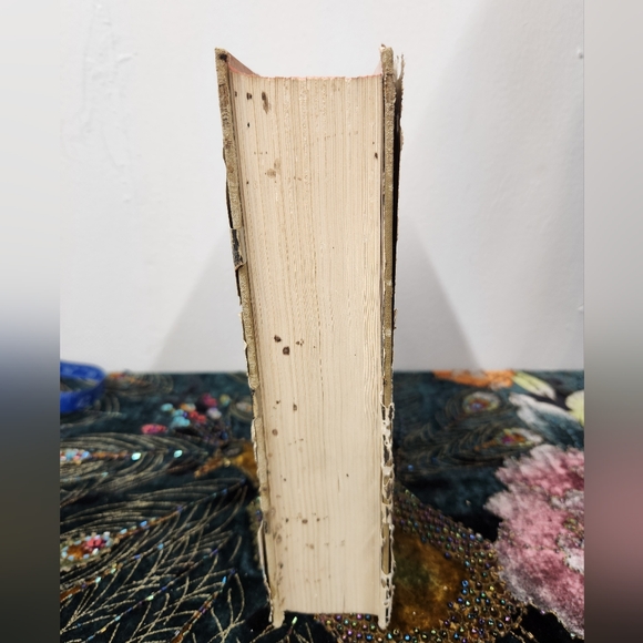 The Rise and Fall of the Third Reich. - Picture 6 of 6